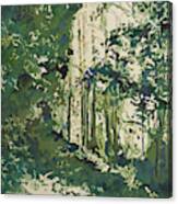 Forest Window Canvas Print