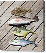 Four Caught Fish Canvas Print