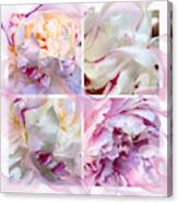 Four Peonies Canvas Print