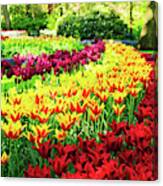 Tulips Park Canvas Print
