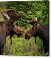 Friendship Canvas Print