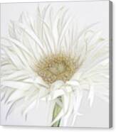 Frivolous Flower Canvas Print