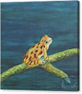 Froggy Canvas Print