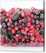 Frozen Berries Canvas Print