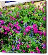 Fuchsia And Purple Landscape Canvas Print