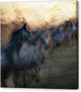 Gallop To The Unknown Canvas Print
