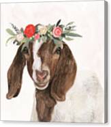 Garden Goat Ii Canvas Print