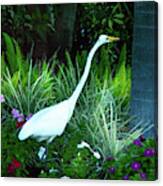 Garden Visitor Canvas Print