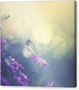 Gentle Light And Pale Atmosphere Canvas Print