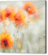 Gently Swaying In The Breeze Canvas Print