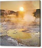Geyser Basin Sunrise, Yellowstone Canvas Print
