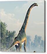 Giant Sauropod Walking Away Canvas Print