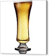 Glass Of Beer Canvas Print