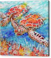Gliding Sea Turtles Canvas Print