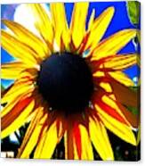 Glowing Sunflower Canvas Print