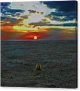 Gongbung Beach Sunset And Open Shell Canvas Print