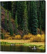 Goose Lake Canvas Print