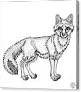 Gray Fox Canvas Print