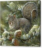 Gray Squirrel Canvas Print