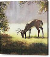 Grazing Deer Canvas Print