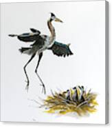 Great Blue Heron Acrylic Ink 5 Canvas Print