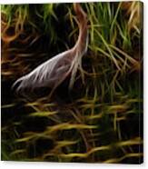 Great Blue Heron - Fractal Art Canvas Print