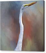 Great Egret Portrait 1 Canvas Print
