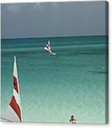 Great Harbour Cay Canvas Print