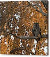 Great Horned Owl In Autumn Sunrise Canvas Print
