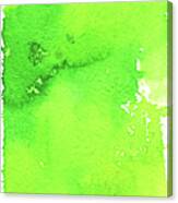 Green Background Spring Blend Canvas Print