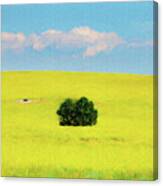 Green Bush In The Middle Of Yellow Sea   Paintography Canvas Print
