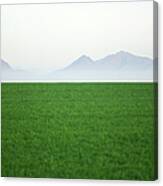 Green Open Field Canvas Print