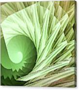 Green Seashell Canvas Print