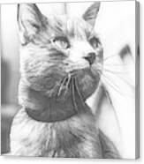 Grey Cat Posing, Black And White Sketch Canvas Print