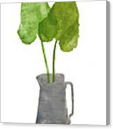 Grey Jug With Leaves Canvas Print