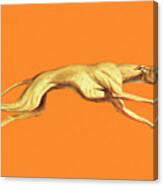 Greyhound Dog Running Canvas Print