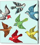 Group Of Colorful Birds Canvas Print