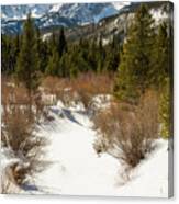 Hallett Peak - Winter Canvas Print