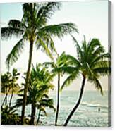 Hawaiian Coast Canvas Print