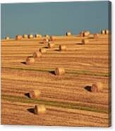 Hay Bales After Harvest, Mallow, County Canvas Print