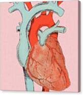 Heart Diagram Canvas Print