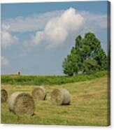 Heartland Canvas Print