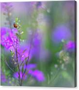 Heartsong In The Meadow Canvas Print