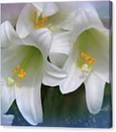 Heavenly Lilys Canvas Print