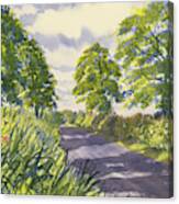 Hedgerows On Rudston Road Canvas Print