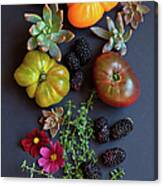 Heirloom Tomatoes With Herbs, Berries Canvas Print