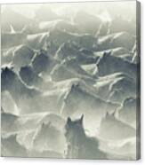 Herd Of Wild Horses Running In Dust Canvas Print