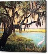 Heron And Live Oak Tree Canvas Print
