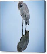 Heron Reflection Canvas Print