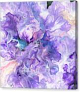 Hidden Pansy Canvas Print